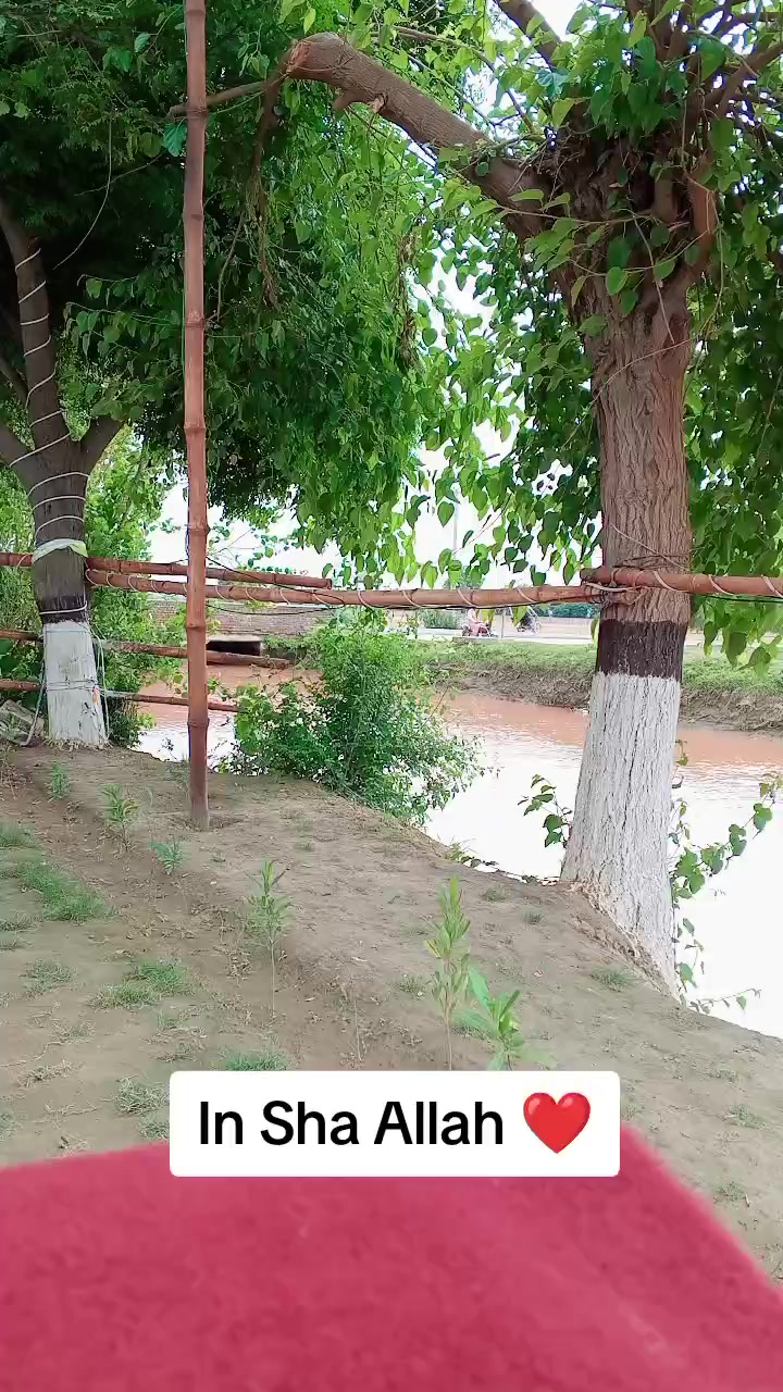 @Muhammad Ikram (محمد اکرام)