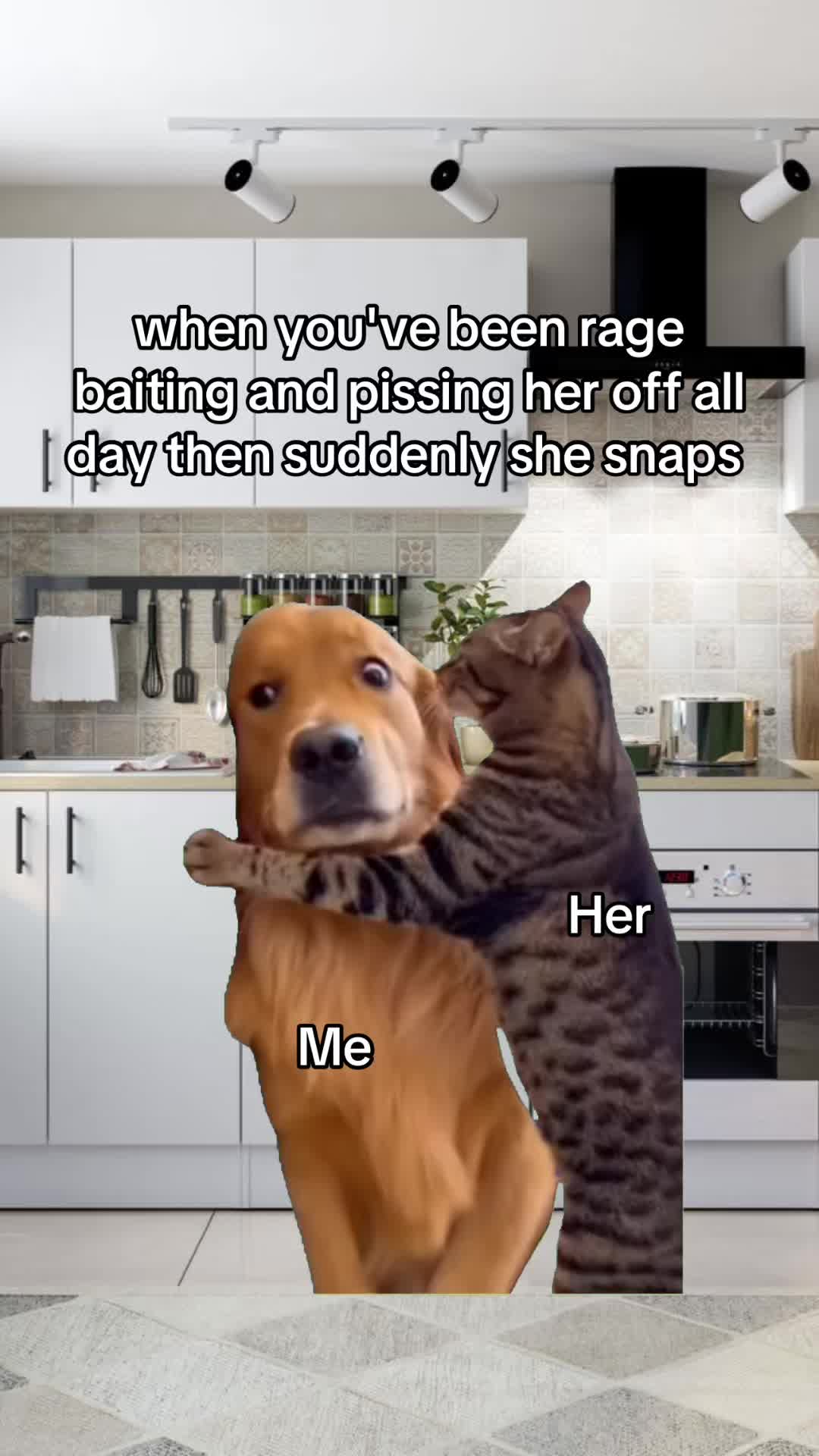 @Kyle