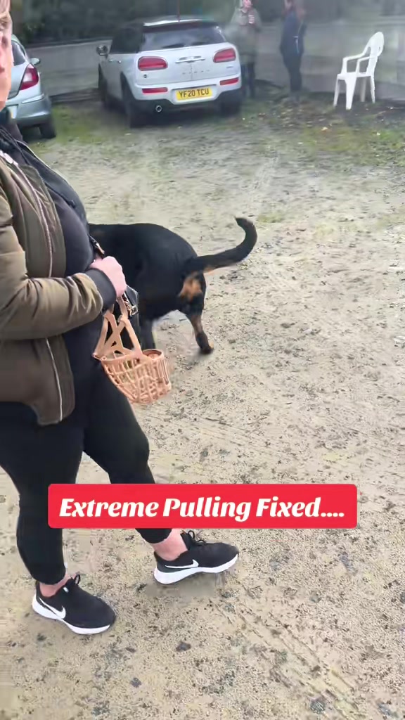 @SouthendDogTraining