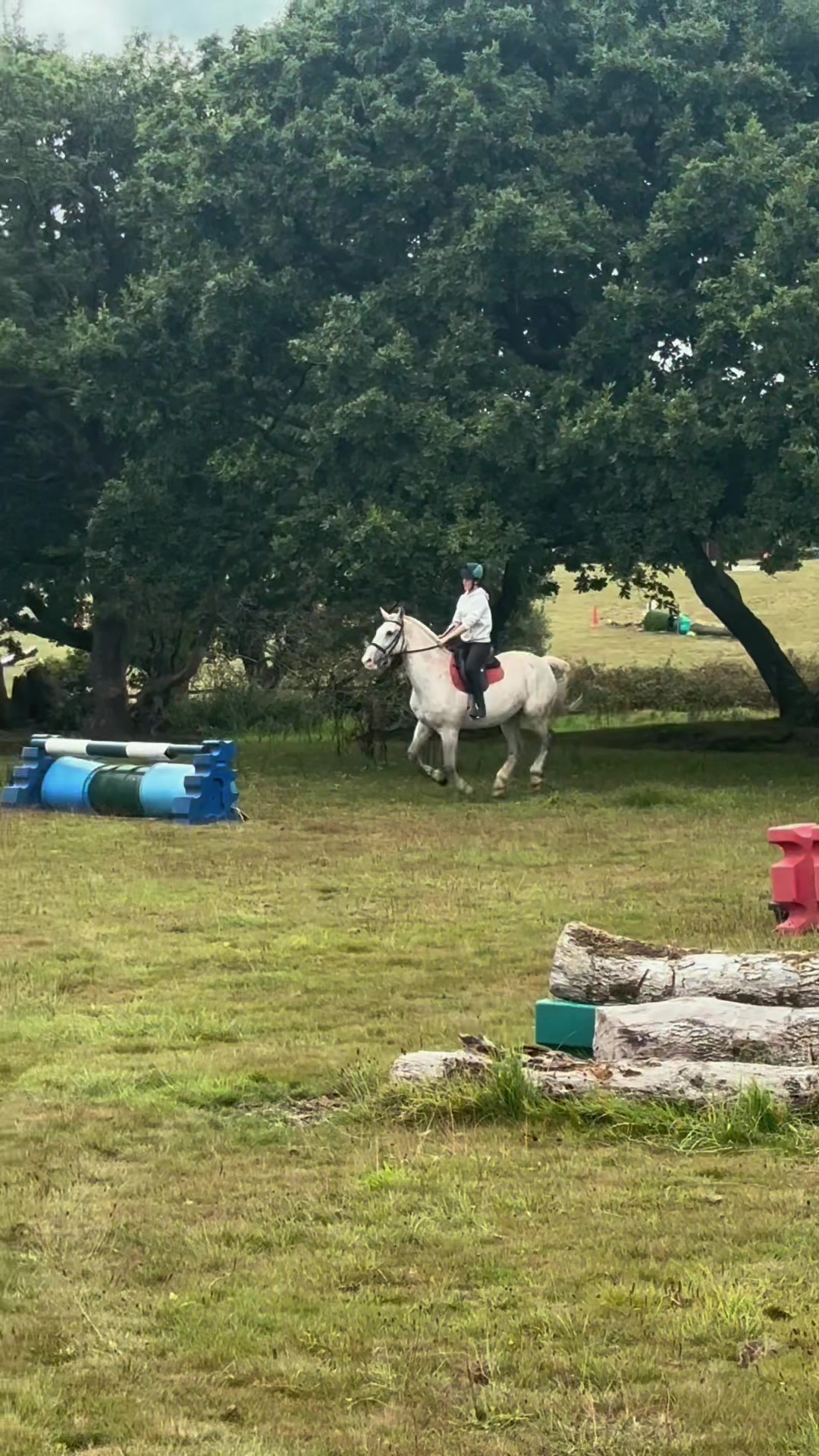 @amelia_showjumping2
