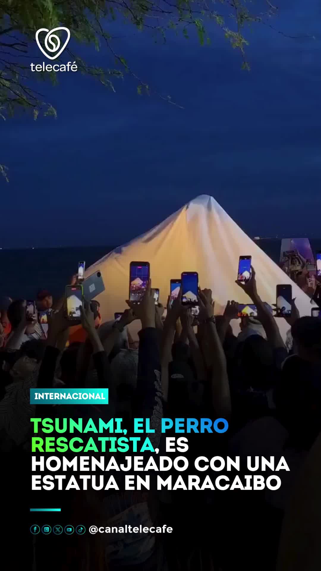 @Canal Telecaf&eacute;