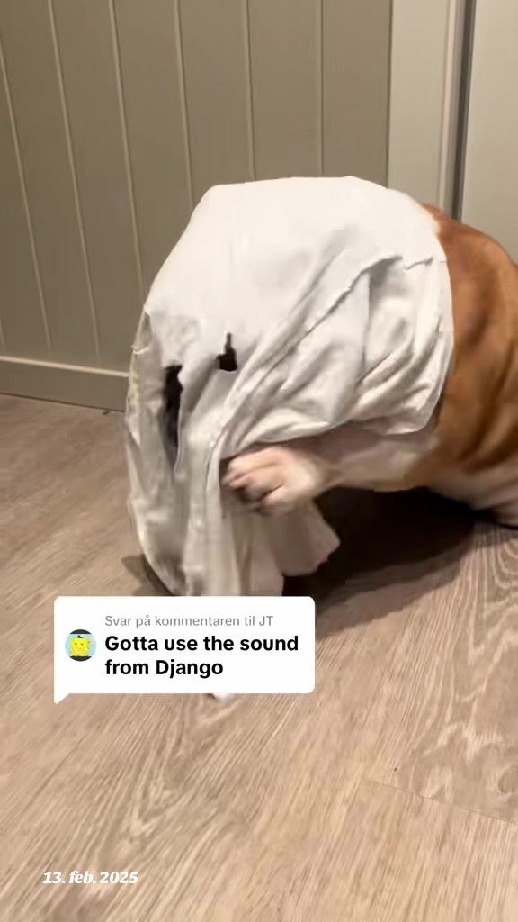 @bobandflodie