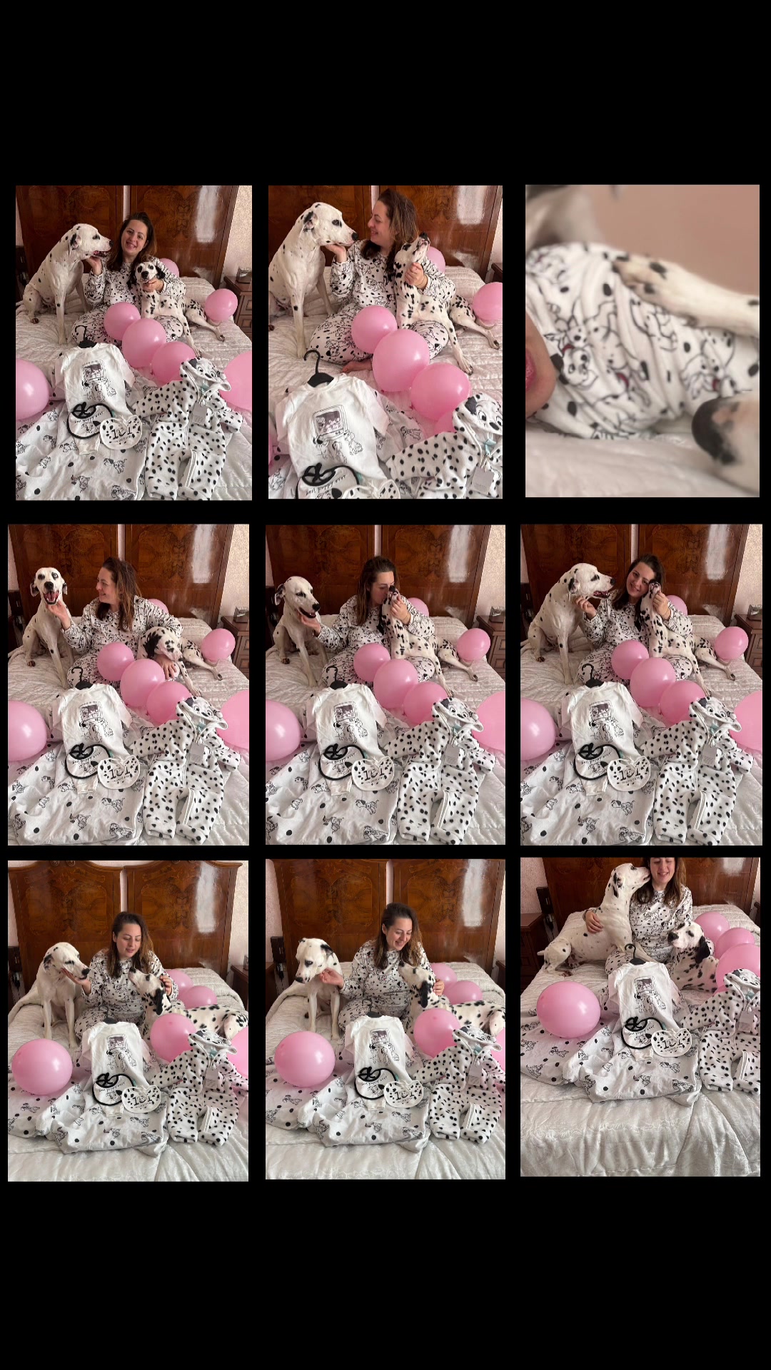 @Zoethedalmatian