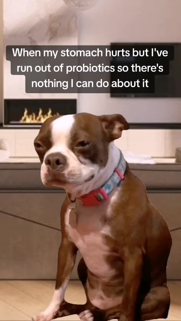 @WellnessMemes❤️&zwj;🩹