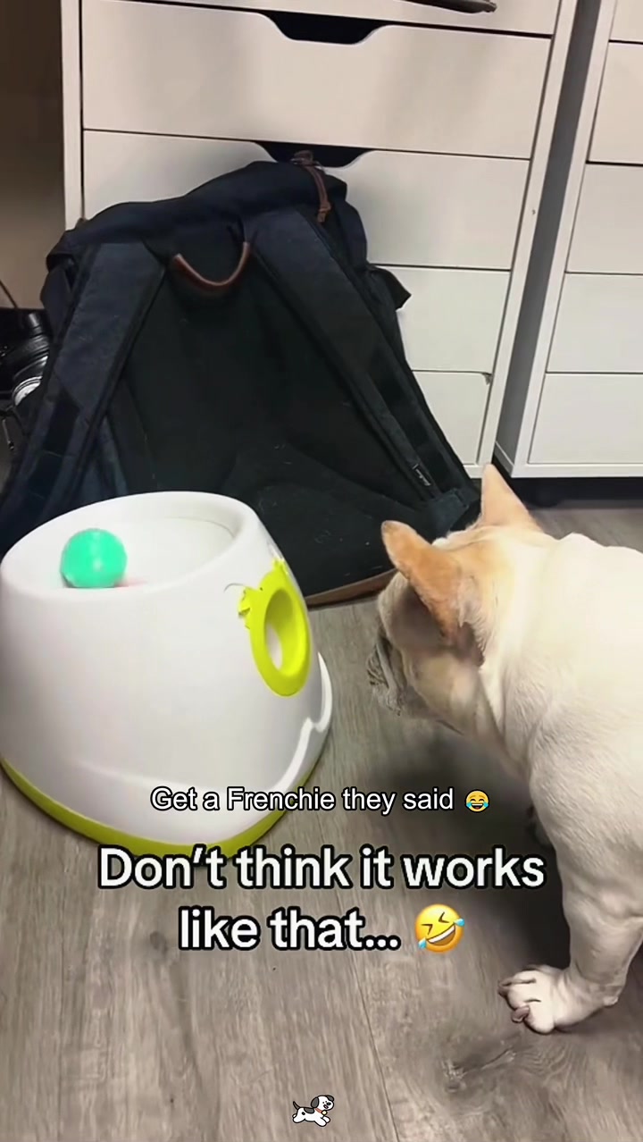 @SneakyFails