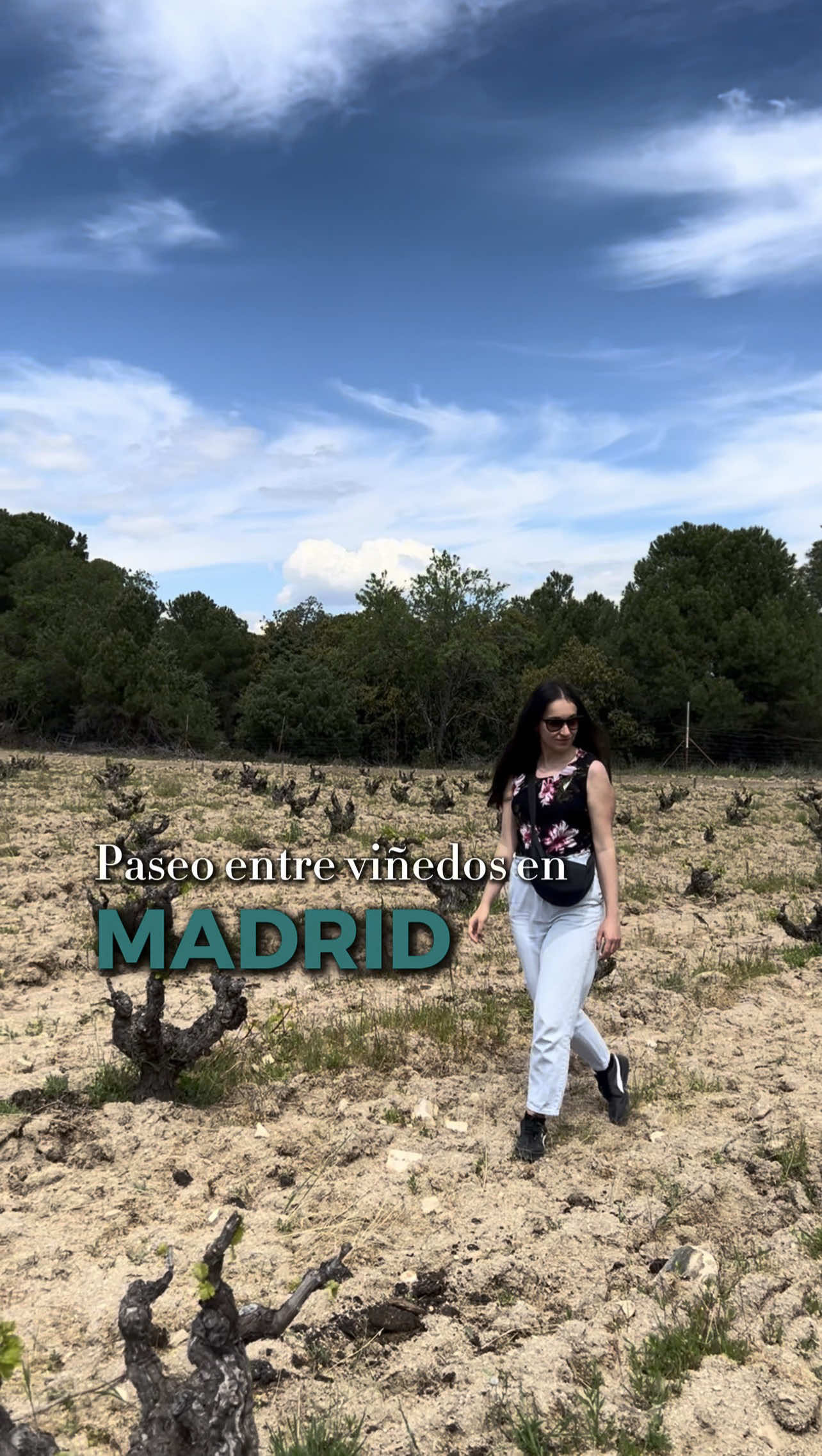 @So&ntilde;ando Viajes Blog✈️