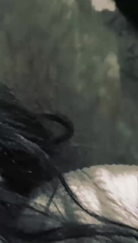 @Indaraparra18