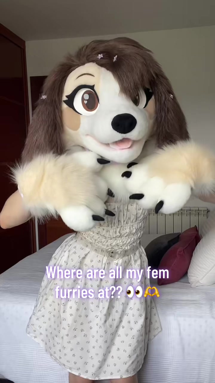@June ⊹₊⋆