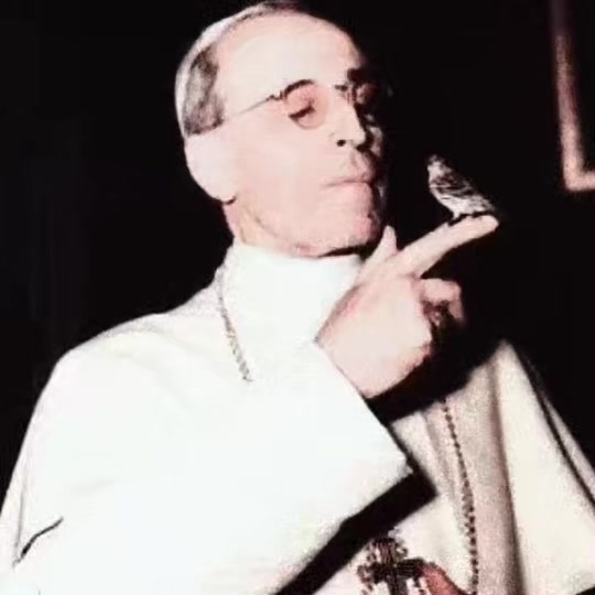 @vaticancatholique✟🇻🇦_