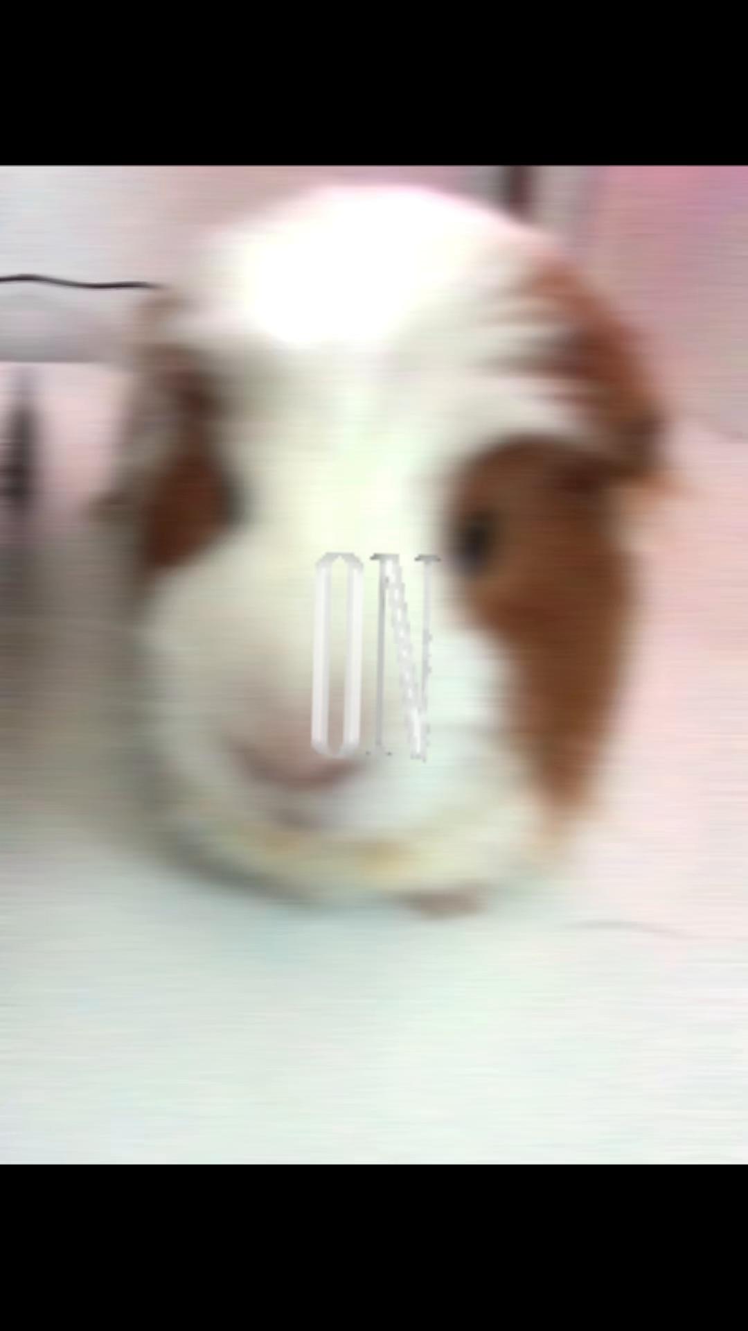 @Fullboxad