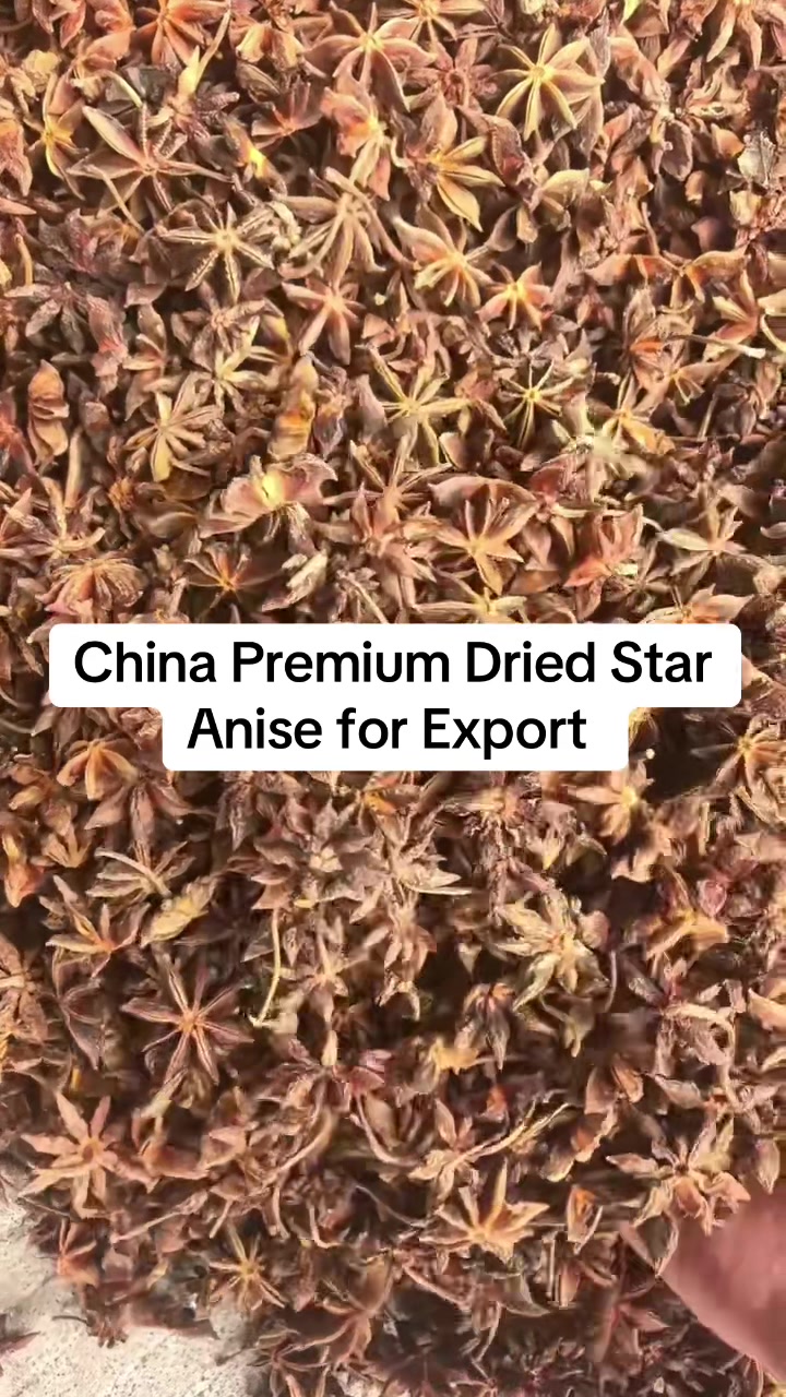 @Bxhspices(ChinaSpicesSupplier)