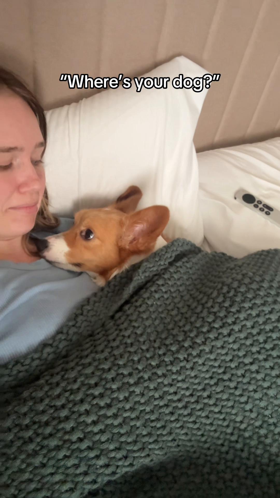 @Hope the Corgi