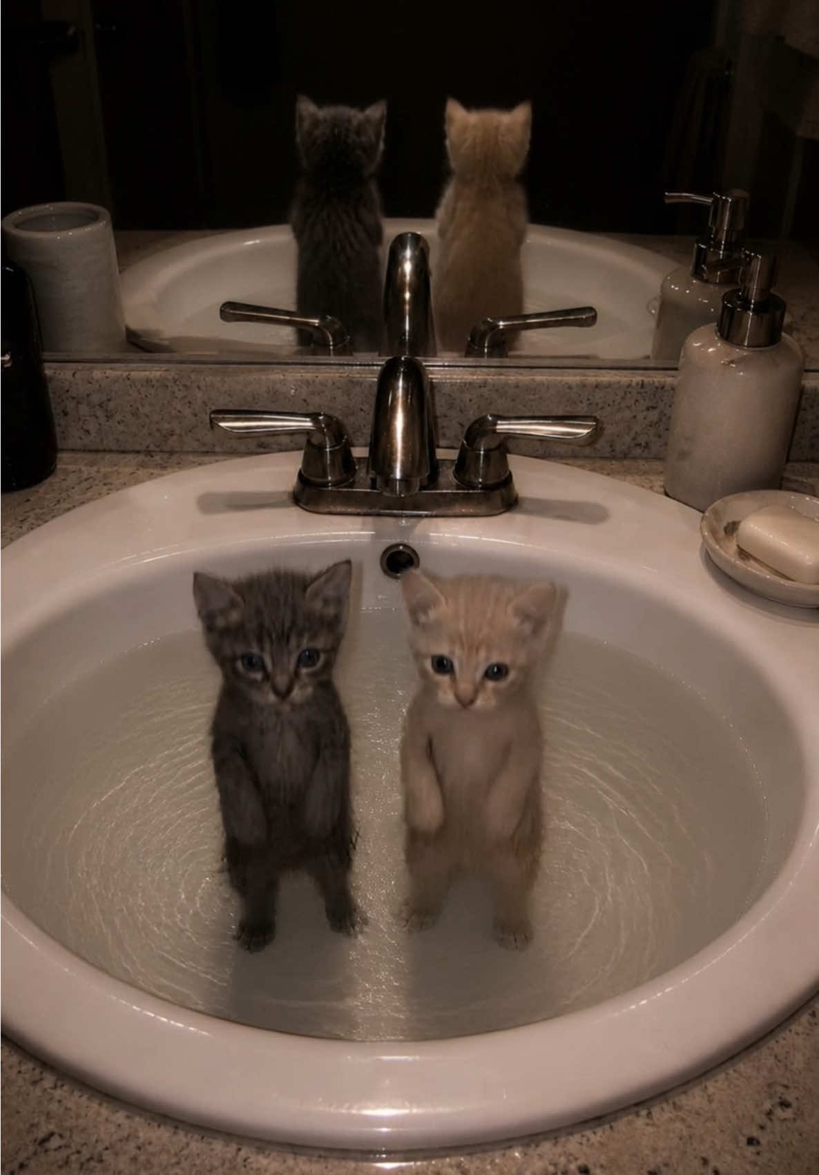 @meowmotion