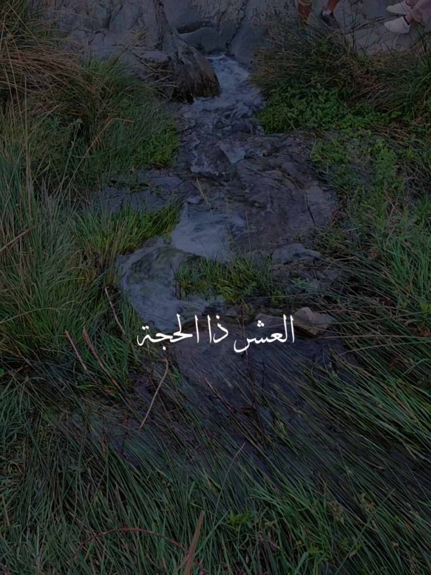 @ڒھ,ڑآء_Zahra
