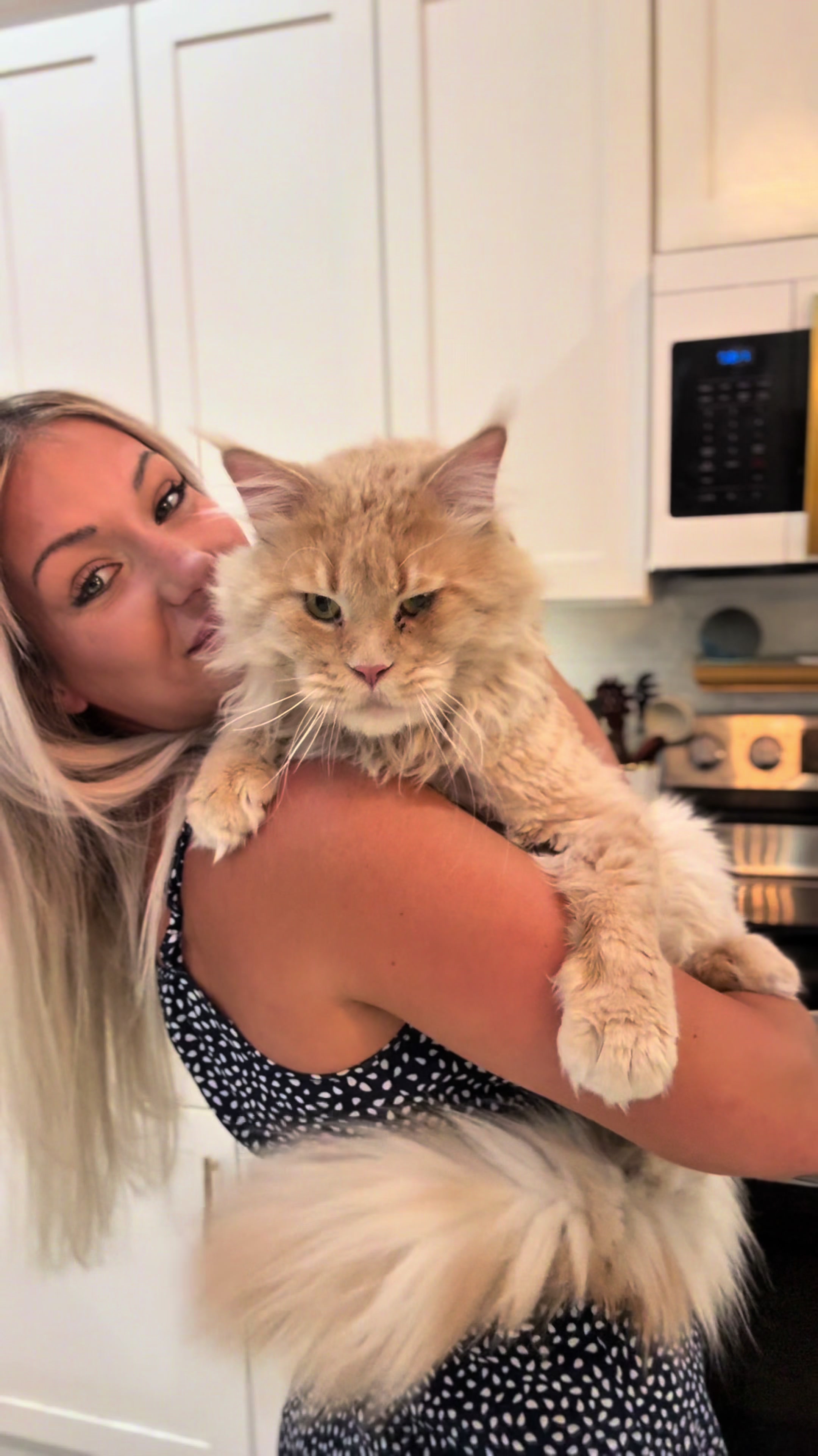 @AristoCoon Cattery