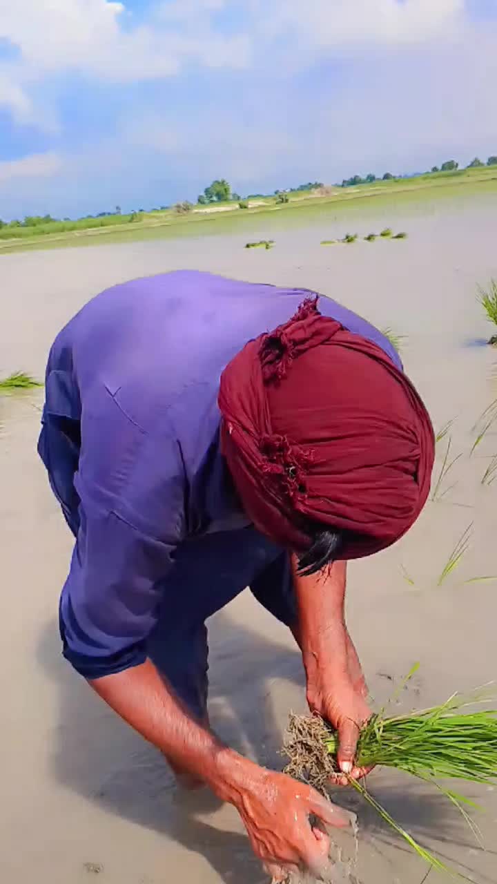 @💸 عمران خان 💸