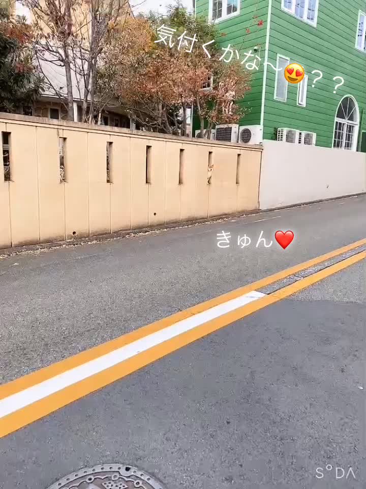 @梅澤香