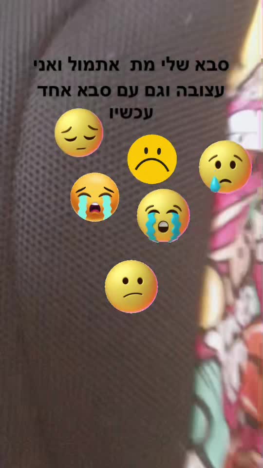 @taliya Biton