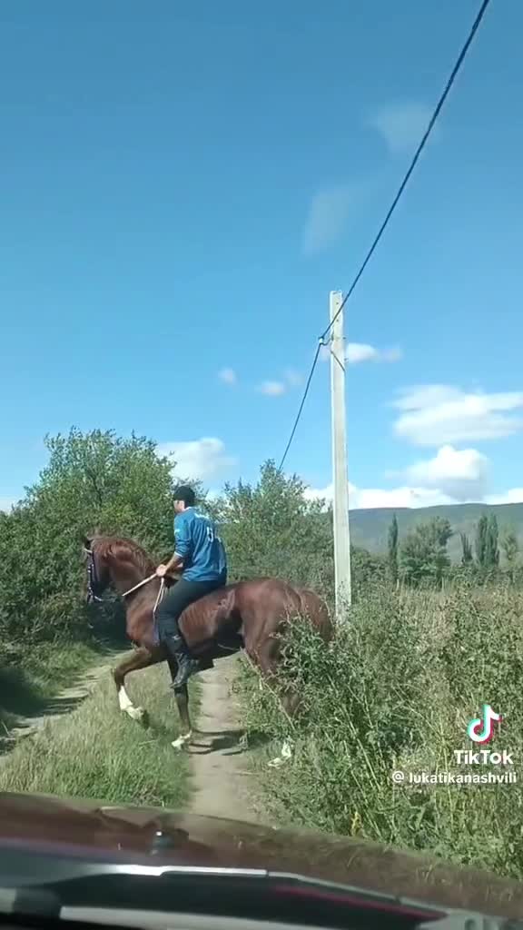 @BuKa Tikanashvili 🇬🇪