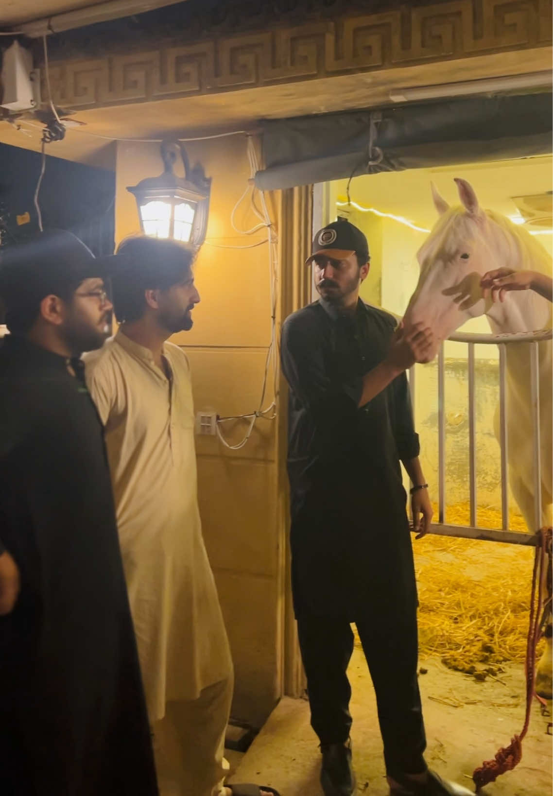 @ملک ابراھیم اعوان⚜️