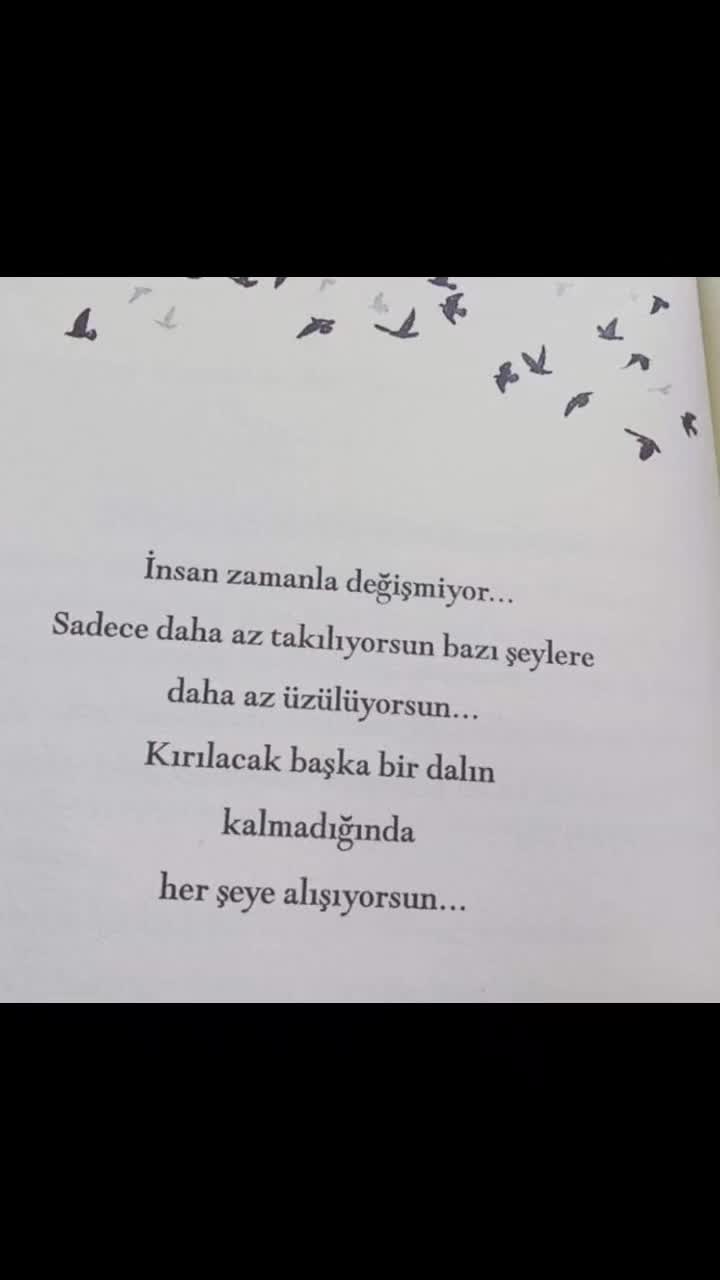 @kitap_kokusu