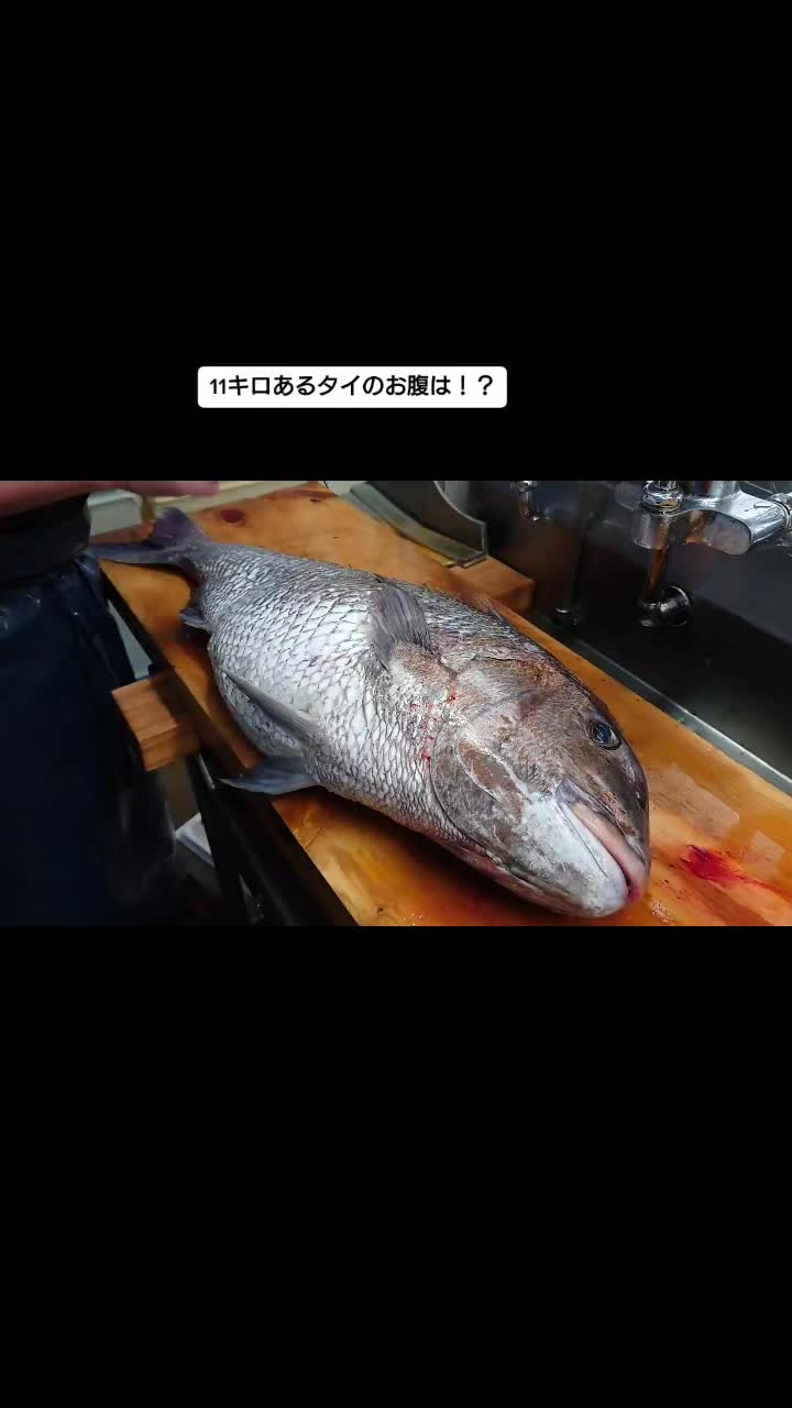 @京都舞鶴のさかなやさん