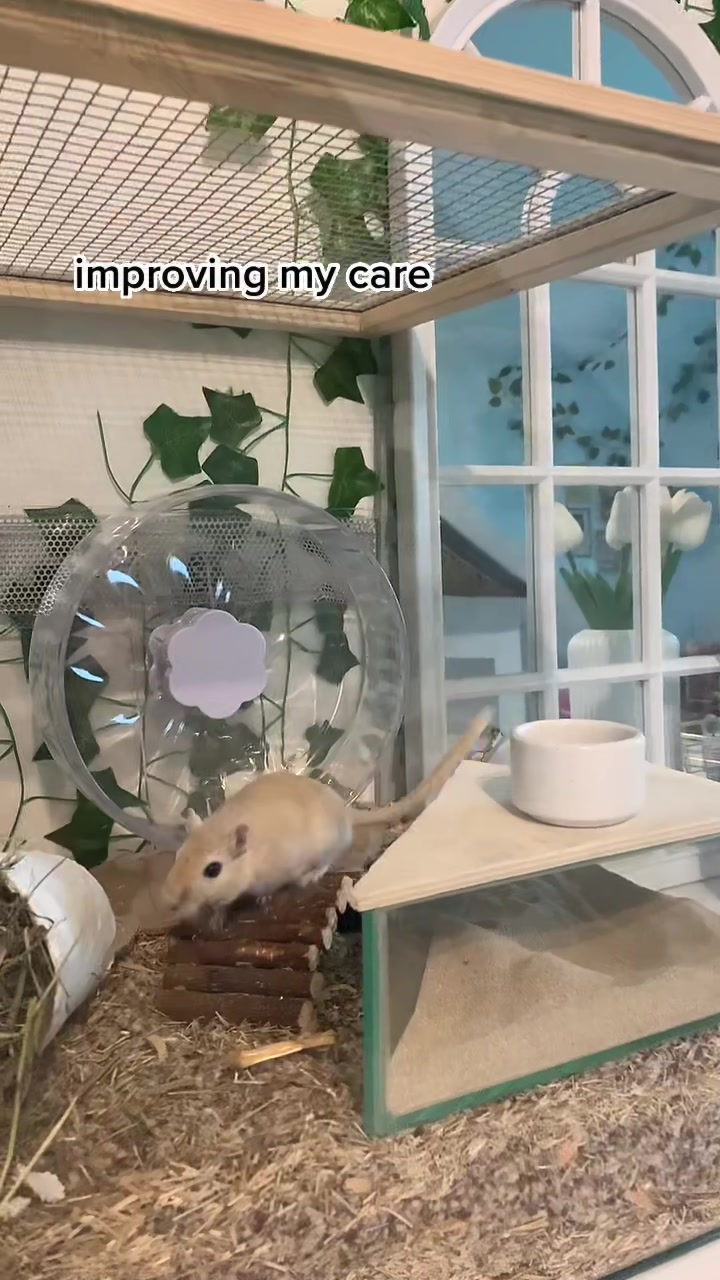 @gerbils