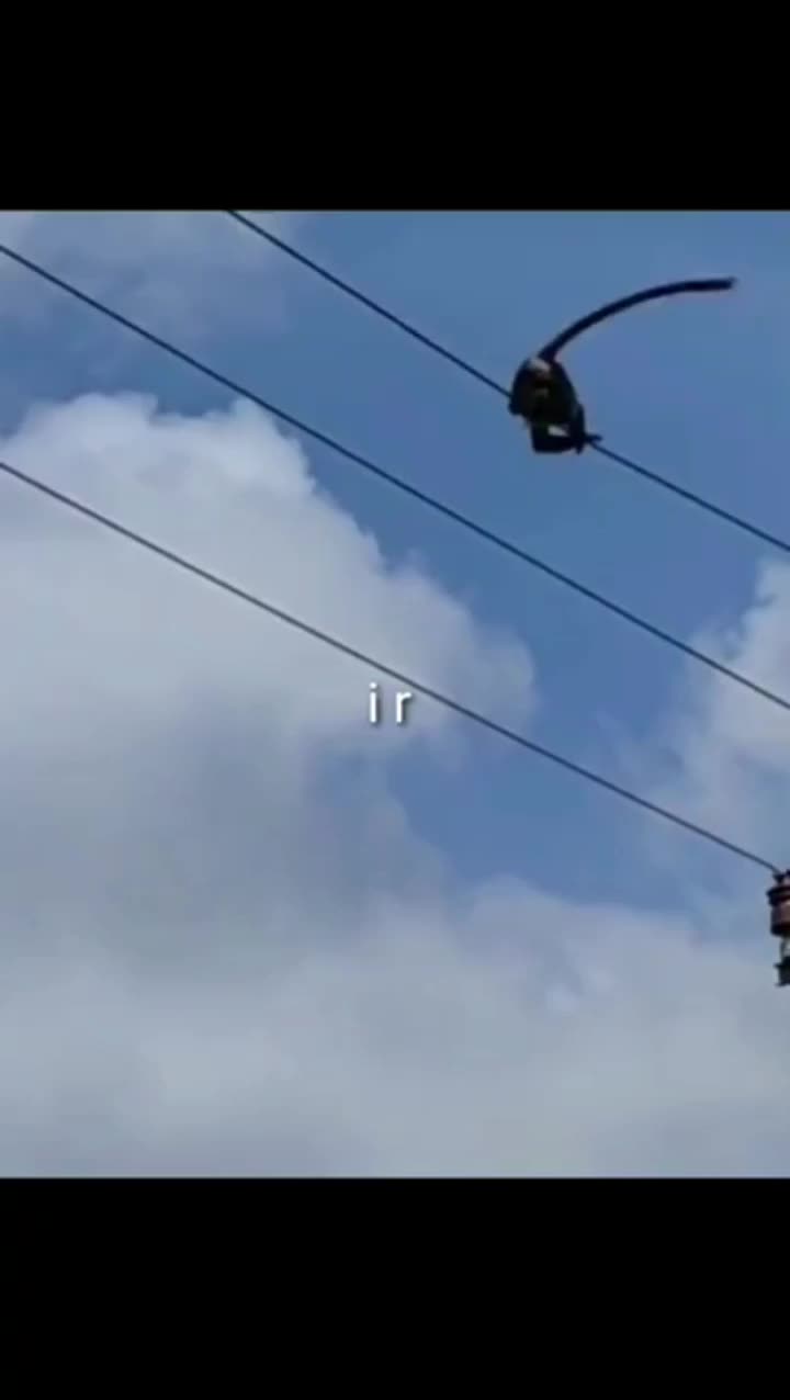 @Помидор