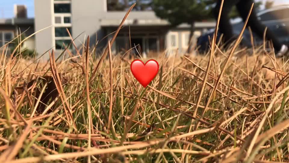 @๐๐ผ๐ธ๐ป๐ด : - )