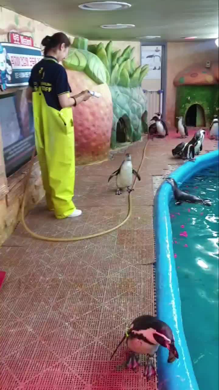 @수지큐