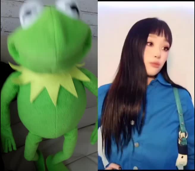 @커밋 터크랑 잘 노는중