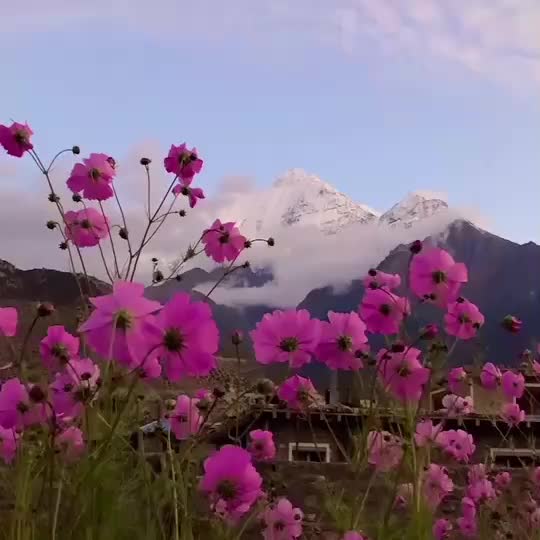 @Mona Manikpuri
