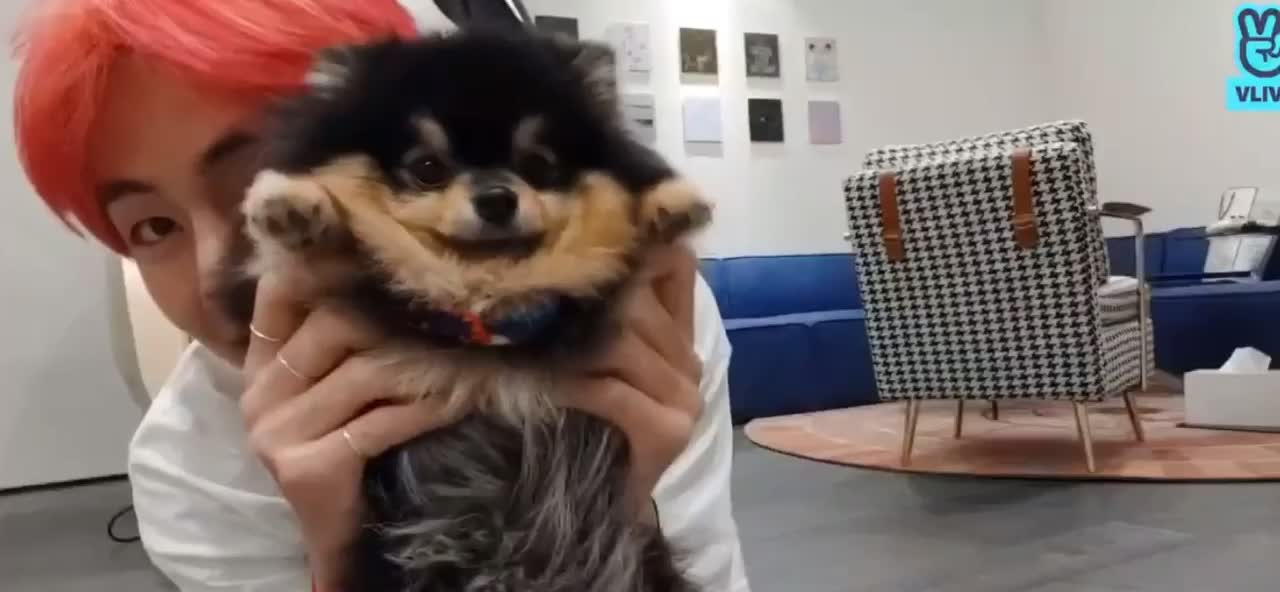 @ํํฌ