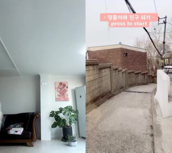 @방탄💜