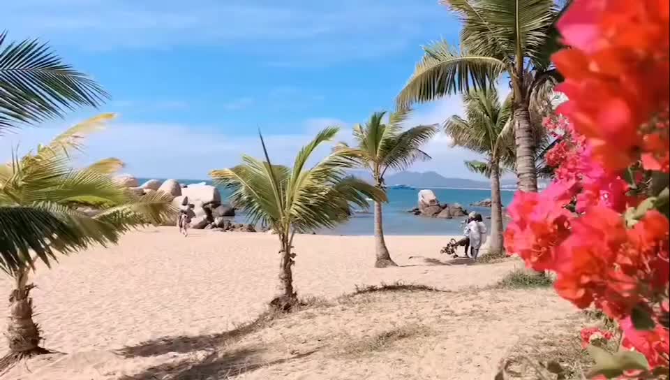 @易阳
