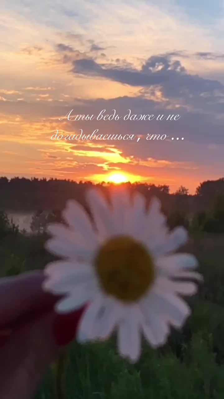 @Юлия Перфильева