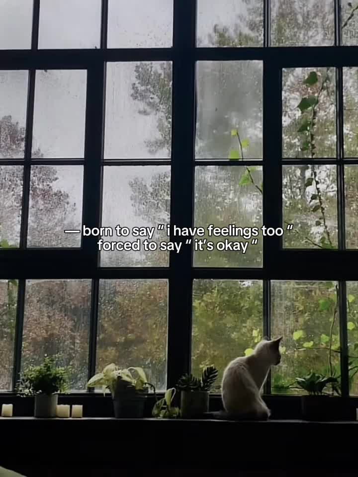 @🍀