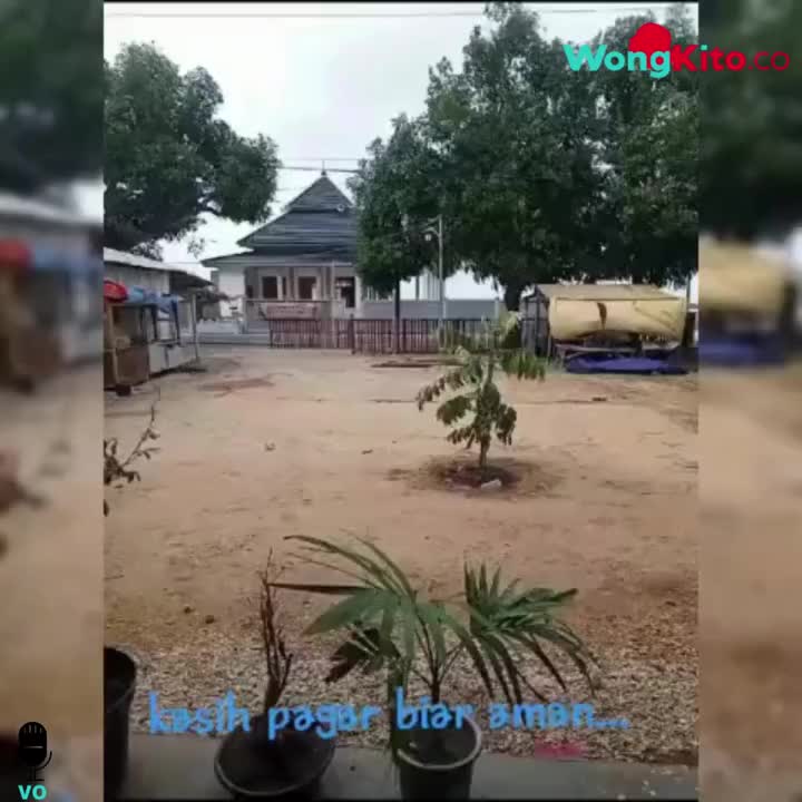 @wirta