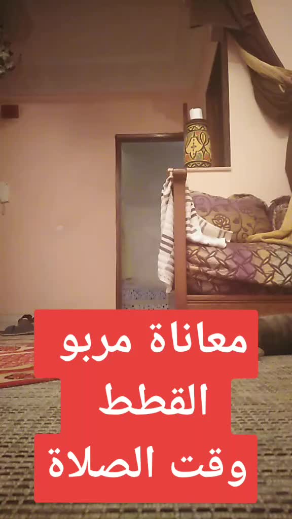 @عاشقة أبيها