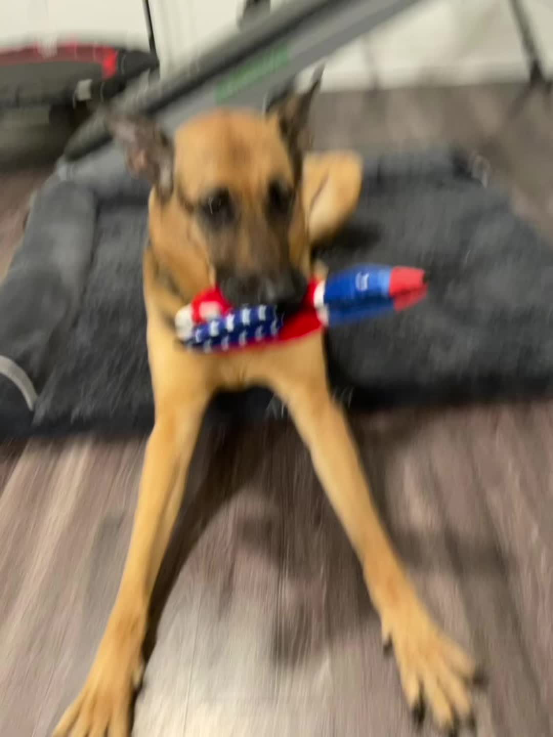 @Robyn🐕Blackberry