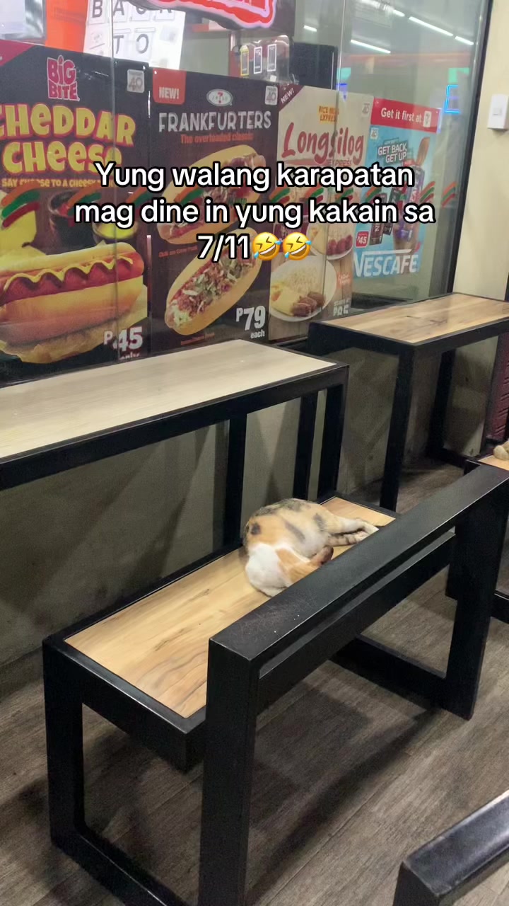 @cthrnfjrd&ouml;