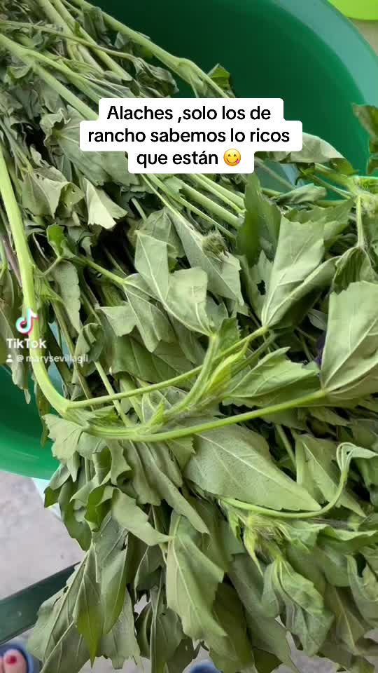 @Mary Sevilla