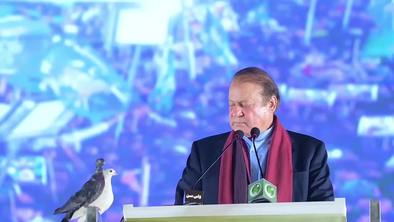 @PMLN OFFICIAL