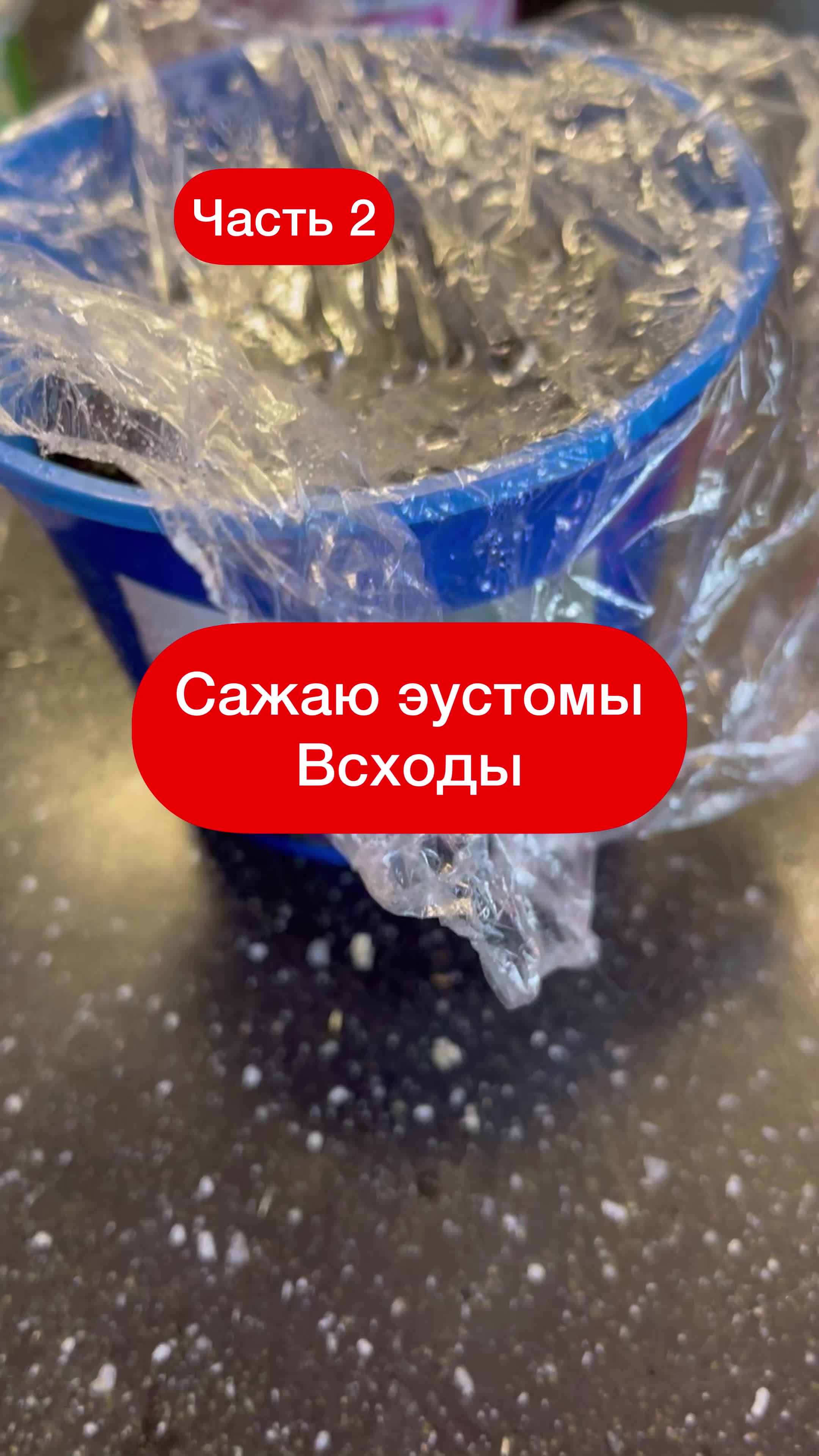 @Елена 🌱 Рай можно купить