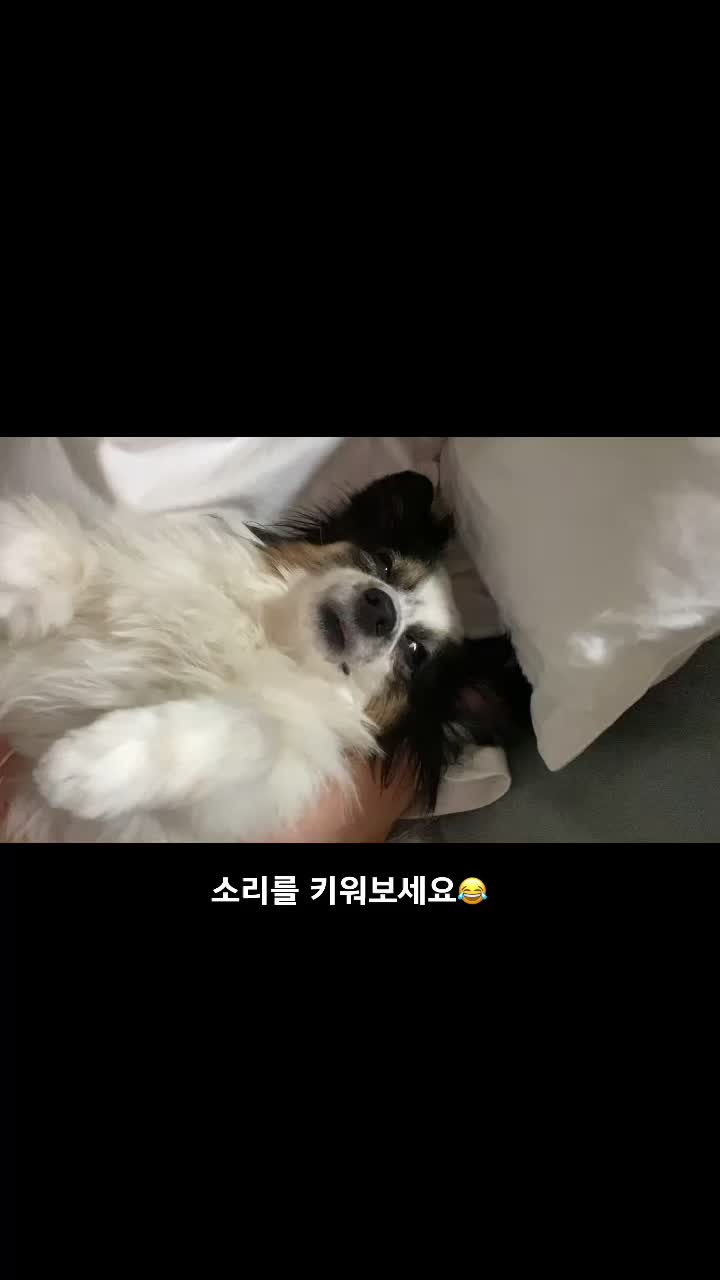 @jju