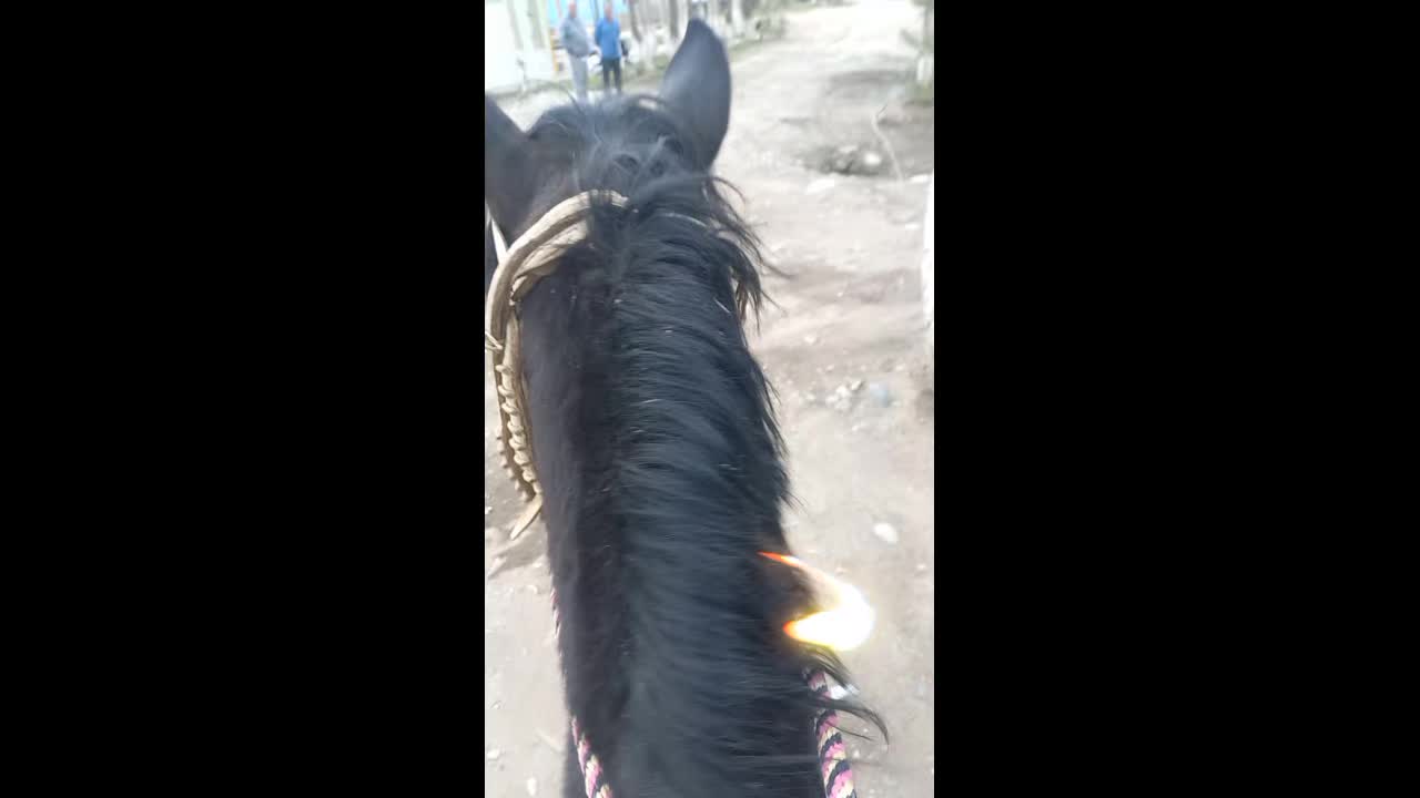@Salimov98_26_