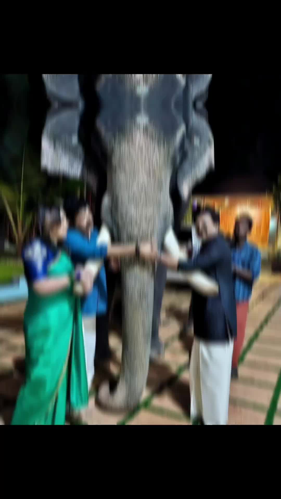 @Saritha Pradeep