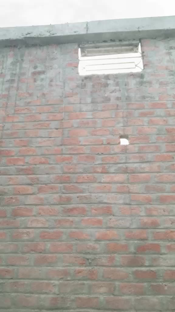 @Juber Ali