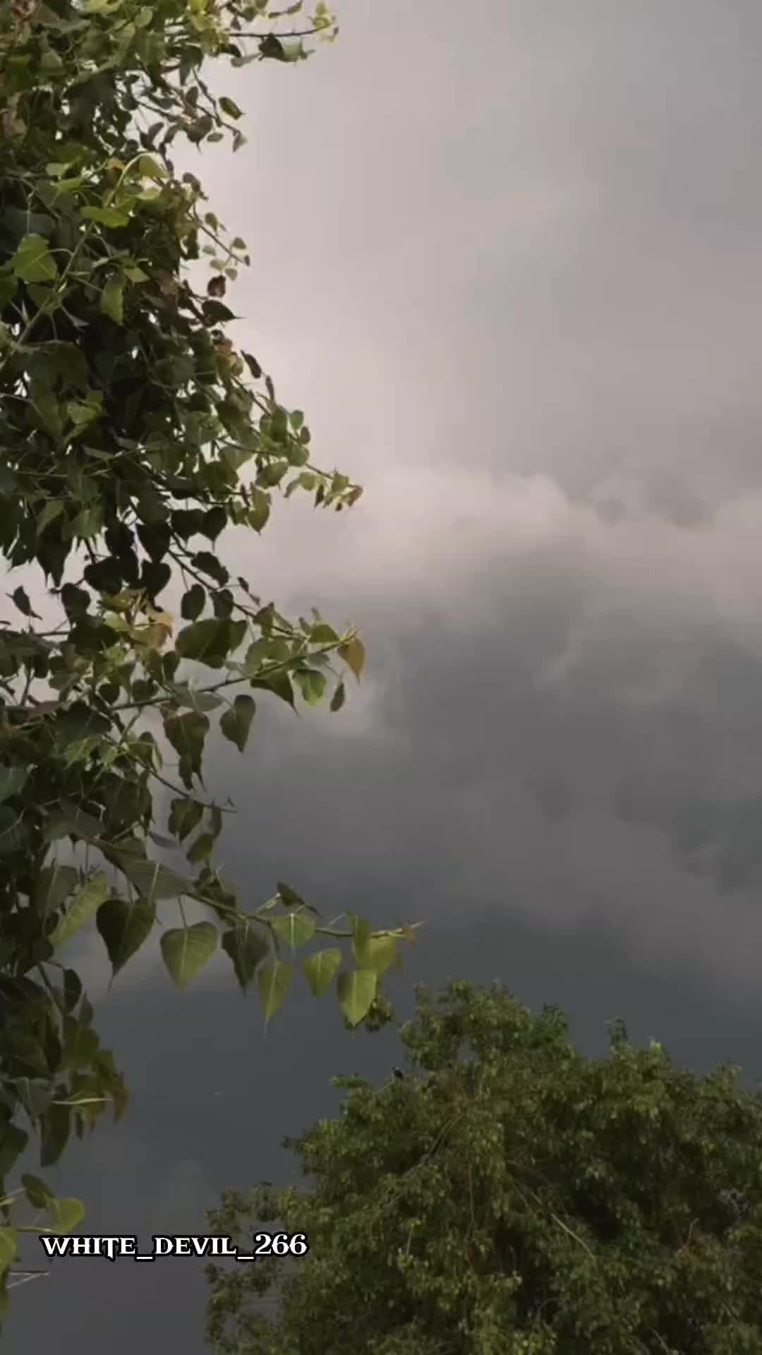 @ᴋ ʀ ʀ ɪ ꜱ ʜ
