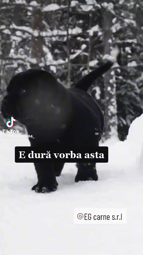 @Marian ♒️